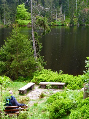 Am Glaswaldsee